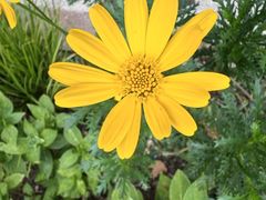 -徐家汇源景区-衡山公园