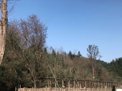 -常德桃花源景区