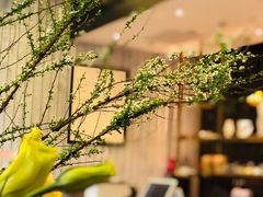 -chenity  cafe