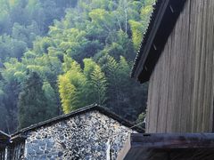 -MOJ coffee(瓯海泽雅水碓坑店)