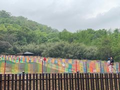 -南京老山国家森林公园