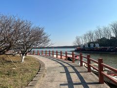 -上海海湾国家森林公园