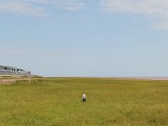 -南汇嘴观海公园