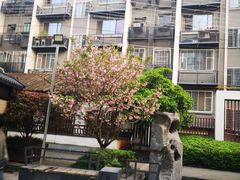 -绳金塔美食街(前进路店)