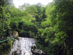 -藏龙百瀑风景区