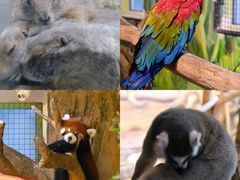 -海合安武汉极地海洋公园