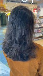 -东方麒麟·潘多拉SALON
