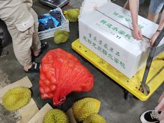 -双福水果批发市场