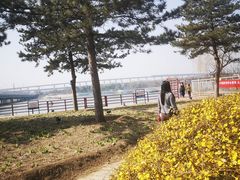 -绿堤公园