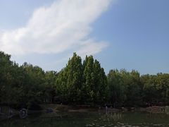-云岗森林公园