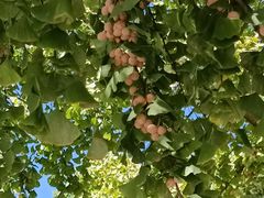 -盛世南宫影视城(北普陀影视城)