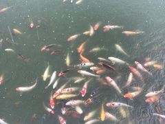 -北戴河圣蓝海洋公园