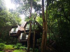 -杭州开元森泊度假乐园