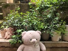 -鱼乐岛餐厅·户外花园主题餐厅