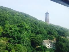 -普陀山风景区-佛顶山