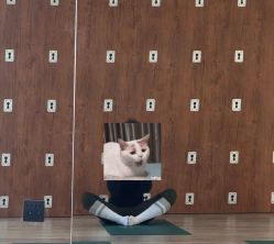 -无界瑜伽普拉提