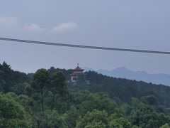 -金水泊山庄·花椒鸡(铁山坪店)