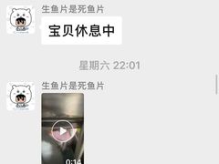-半岛宠物医院24小时(科华中路店)