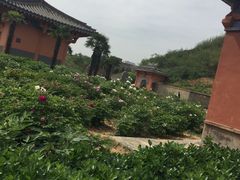 -洛阳古墓博物馆