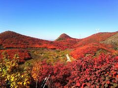 -妙峰山风景名胜区