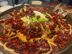 -老板恋上鱼(振华商厦店)