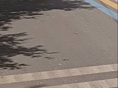 -白鹭湾湿地公园