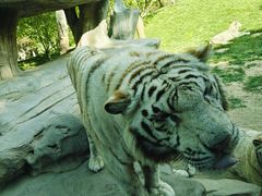 -北京野生动物园