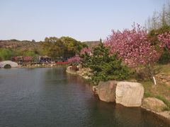 -白马涧龙池景区