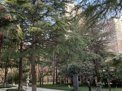 -木塔寺遗址生态公园