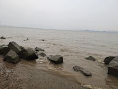 -深圳湾公园(南山区)
