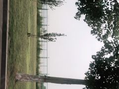 -天津东丽湖风景区