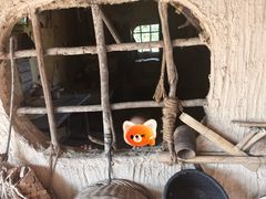 -海南槟榔谷黎苗文化旅游区