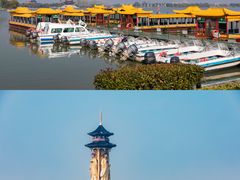 -溱湖国家湿地公园