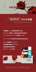 -LUNA皮相美·骨相美高级美感