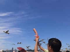 -星海广场