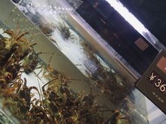 -徐记海鲜(阿波罗店)