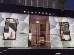-BLACKSWAN黑天鹅(环球店)