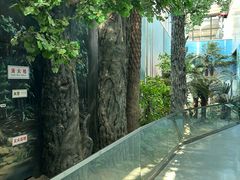 -安徽省地质博物馆