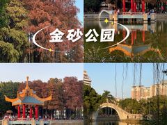 -金砂公园