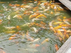 -荆川公园
