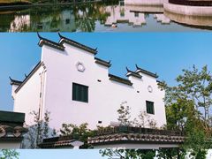 -上海共青森林公园