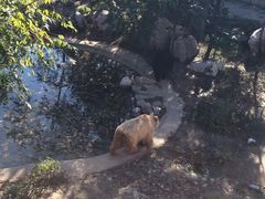 -石家庄市动物园