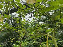 -南通洲际绿博园