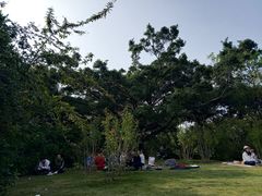 -深圳湾公园(南山区)