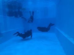 -上海潜殿潜水中心