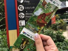 -新加坡飞禽公园