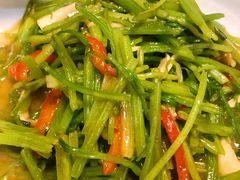 -金锅小厨(乐活街店)