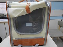 -中农国际动物医院24小时·猫科·骨科·急重症中心