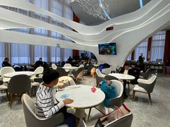 -海南海航航空信息系统公司