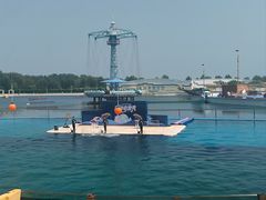 -秦皇岛乐岛海洋王国